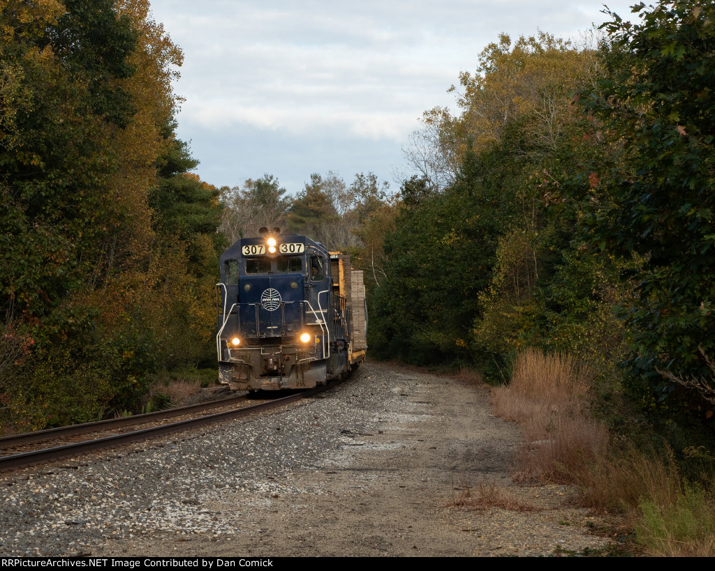 MEC 307 Leads L077-18 at Webster Rd. in Freeport